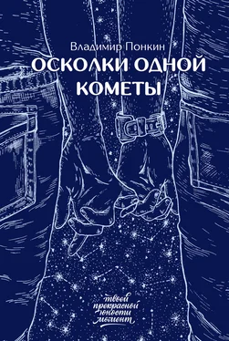 Владимир Понкин Осколки одной кометы обложка книги