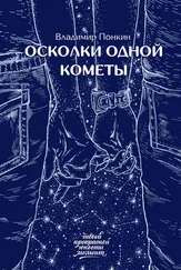 Владимир Понкин - Осколки одной кометы