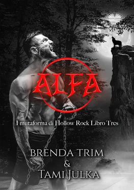 Brenda Trim Alfa обложка книги