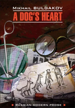 Mikhail Bulgakov A dog's heart (A Monstrous Story) / Собачье сердце (Чудовищная история). Книга для чтения на английском языке обложка книги