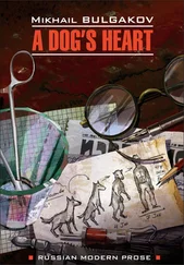 Mikhail Bulgakov - A dog's heart (A Monstrous Story) / Собачье сердце (Чудовищная история). Книга для чтения на английском языке