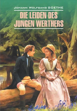 Johann Wolfgang Goethe Die Leiden des jungen Werthers. Gedichte / Страдания юного Вертера. Избранная лирика. Книга для чтения на немецком языке обложка книги