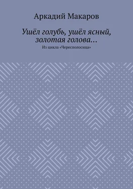 Аркадий Макаров Ушёл голубь, ушёл ясный, золотая голова… Из цикла «Чересполосица» обложка книги