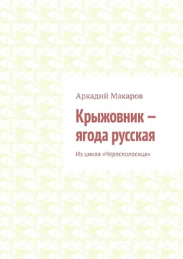 Аркадий Макаров Крыжовник – ягода русская. Из цикла «Чересполосица» обложка книги