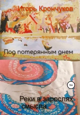 Игорь Крончуков Под потерянным днем. Реки в зарослях смысла обложка книги