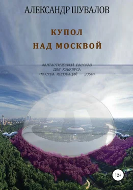 Александр Шувалов Купол над Москвой обложка книги