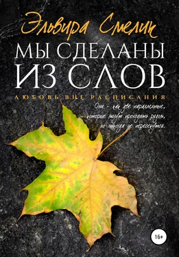 Эльвира Смелик Мы сделаны из слов обложка книги