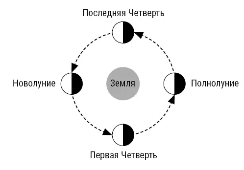 Лунный год Лунный год это основа лунного календаря на него ориентируются - фото 7