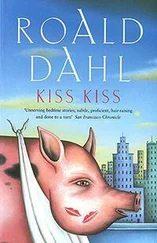 Роальд Даль - Чемпион браконьеров (др. перевод)