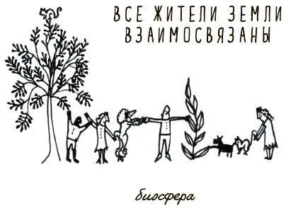 5 Солнце даёт в несколько тысяч раз больше энергии чем нам необходимо Солнце - фото 12