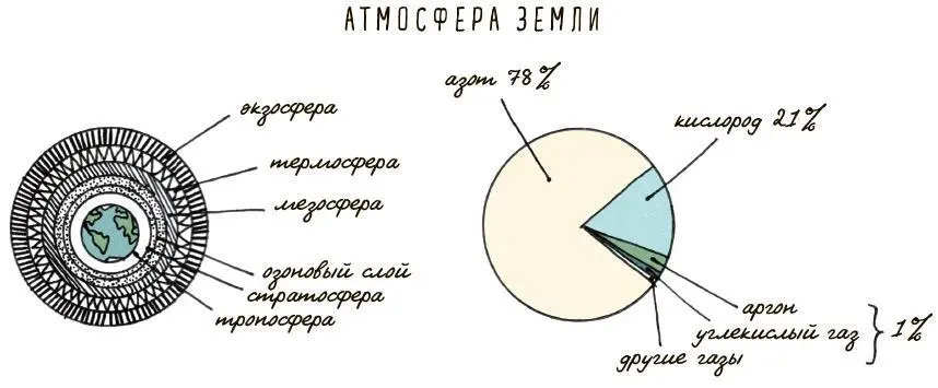 6 Земля огромный парник Видел ли ты у когонибудь на даче парник Это такая - фото 14