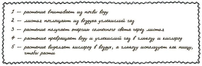 Дождевые леса Африки Азии и Южной Америки а также тайга покрывающая огромную - фото 22