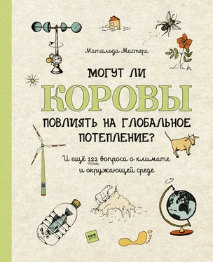 Матильда Мастерс Могут ли коровы повлиять на глобальное потепление? И ещё 122 вопроса о климате и окружающей среде