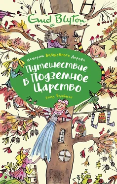 Энид Блайтон Путешествие в подземное царство обложка книги