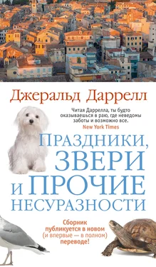 Джеральд Даррелл Праздники, звери и прочие несуразности обложка книги