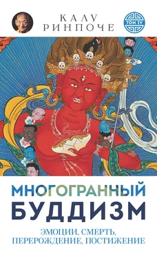 Калу Ринпоче Многогранный буддизм. Том VI. Эмоции, смерть, перерождение, постижение