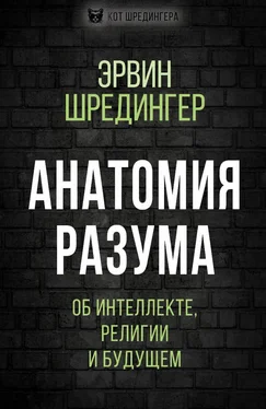 Эрвин Шредингер Анатомия разума. Об интеллекте, религии и будущем обложка книги