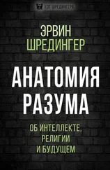 Эрвин Шредингер - Анатомия разума. Об интеллекте, религии и будущем