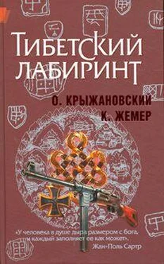 Константин Жемер Тибетский лабиринт (новая версия) обложка книги