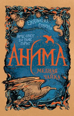 Екатерина Соболь Медная чайка обложка книги