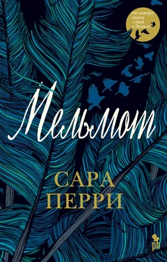 Сара Перри Мельмот обложка книги