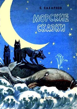 Святослав Сахарнов Морские сказки обложка книги