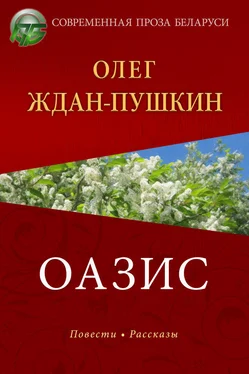 Олег Ждан-Пушкин Оазис обложка книги