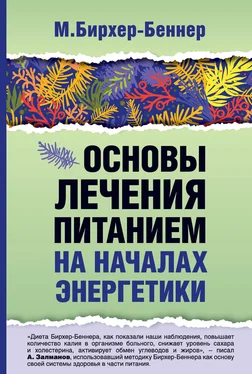 Максимилиан Бирхер-Беннер Основы лечения питанием на началах энергетики обложка книги