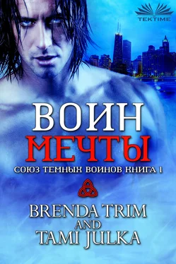 Brenda Trim Воин Мечты обложка книги