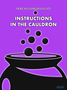 Serena Longhi Gelati Instructions In The Cauldron обложка книги