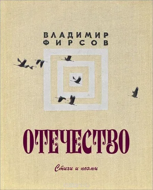 Владимир Фирсов Отечество, стихи и поэмы обложка книги