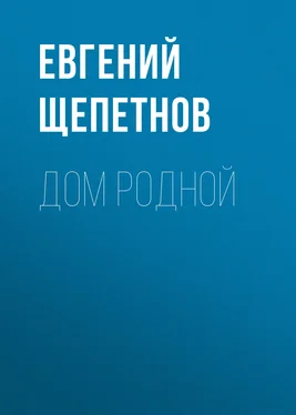 Евгений Щепетнов Дом родной обложка книги