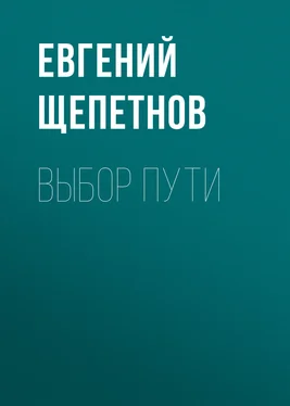 Евгений Щепетнов Выбор пути обложка книги