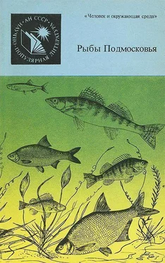 Евгений Огнев Рыбы Подмосковья обложка книги