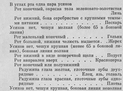 Семейство карповые Cyprinidae Карповые одно из самых многочисленных - фото 18