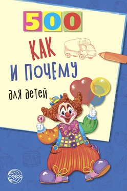 Наталья Бабина 500 как и почему для детей обложка книги