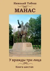 Николай Тобош - Манас. У вражды три лица. Книга шестая