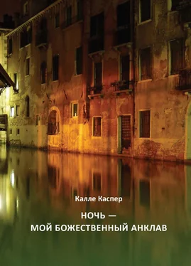 Калле Каспер Ночь – мой божественный анклав обложка книги