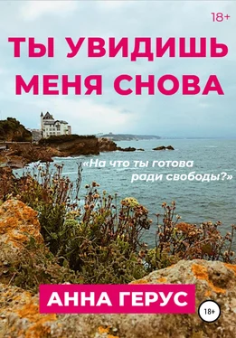 Анна Герус Ты увидишь меня снова обложка книги