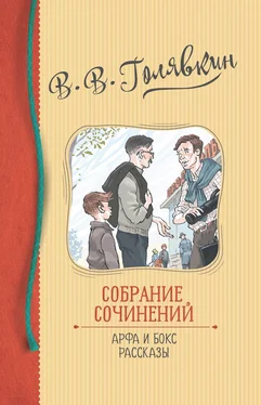 Виктор Голявкин Собрание сочинений. Арфа и бокс. Рассказы обложка книги