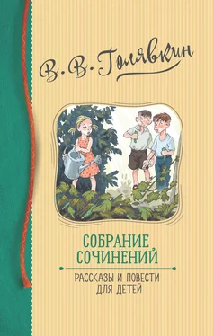 Виктор Голявкин Собрание сочинений. Рассказы и повести для детей обложка книги