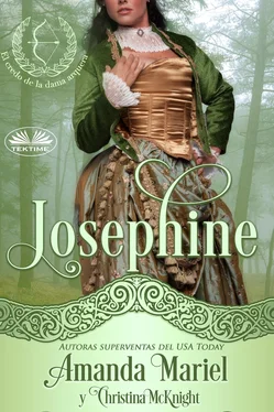 Amanda Mariel Josephine обложка книги