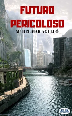 Mª Del Mar Agulló Futuro Pericoloso обложка книги