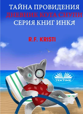 R. F. Kristi Тайна Провидения обложка книги