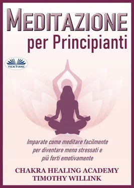 Timothy Willink Meditazione Per Principianti обложка книги