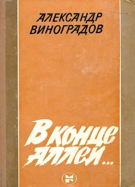 Александр Виноградов В конце аллеи... обложка книги