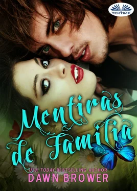 Dawn Brower Mentiras De Familia обложка книги