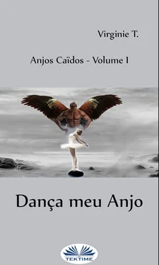 Virginie T. Dança Meu Anjo обложка книги