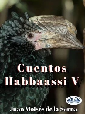 Juan Moisés De La Serna Cuentos Habbaassi V обложка книги