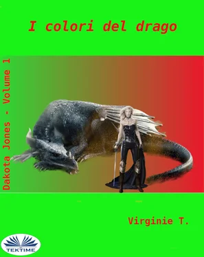 Virginie T. I Colori Del Drago обложка книги